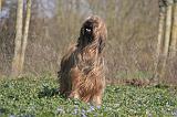 BRIARD 098